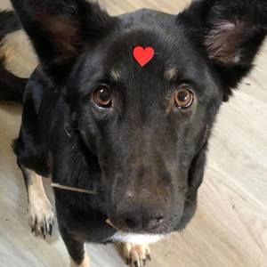 Meet your Posher, Sierra